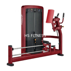 Máquina de formação do corpo para uso comercial