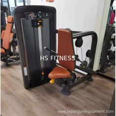 Equipamento de ginástica Pin Carregado Fitness Triceps Pressione para baixo