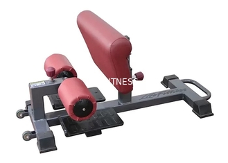 Body building ajustável de Sissy Squat Rack Machine For da categoria comercial
