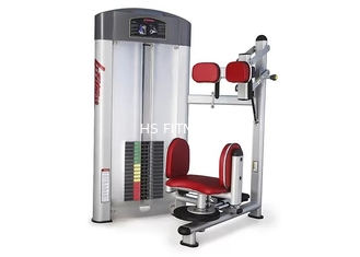 Máquina da rotação do torso do equipamento 186kg do Gym do treinamento HS dos esportes