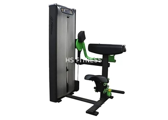 O exercício profissional do equipamento de treino/Gym da força da matriz assentou a máquina da onda do bíceps
