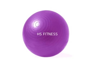 Bola do exercício da ioga dos acessórios do exercício da aptidão do Gym do ODM