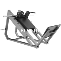 Preço baixo de alta qualidade profissional Sissy Squat Machine da tomada de fábrica de Smith Machine Gym Squat Rack