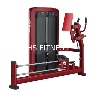 Máquina de formação do corpo para uso comercial