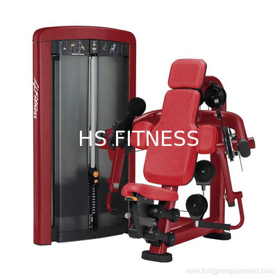 Produtos de fitness para interiores máquina de curva de bíceps de entretenimento