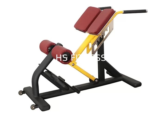 Equipamento comercial Roman Ab Exercise Chair da aptidão da cremalheira do banco de peso do Gym