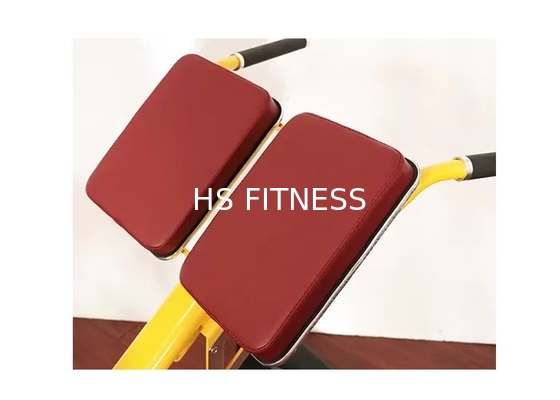 Equipamento comercial Roman Ab Exercise Chair da aptidão da cremalheira do banco de peso do Gym