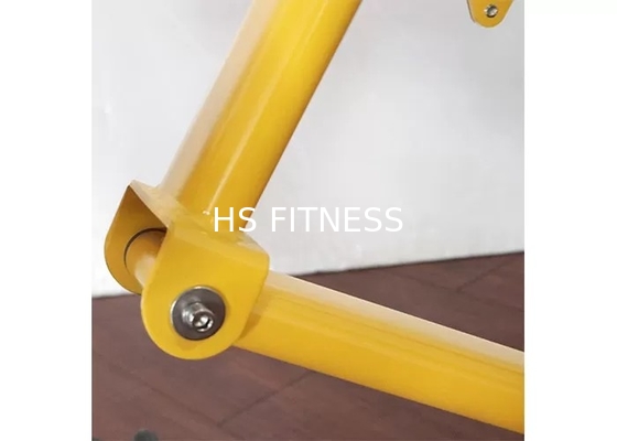 Equipamento comercial Roman Ab Exercise Chair da aptidão da cremalheira do banco de peso do Gym