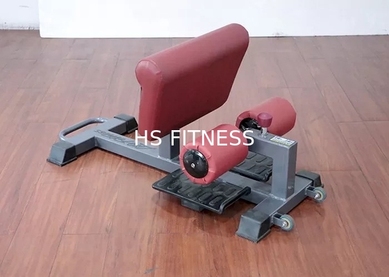 Body building ajustável de Sissy Squat Rack Machine For da categoria comercial