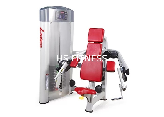 Equipamento interno do Gym da categoria comercial, máquina assentada aptidão da onda do bíceps da vida