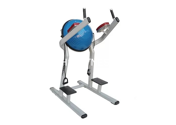 Máquina da bola do equipamento/Chin Dip Leg Raise With Bosu do exercício da aptidão da vida