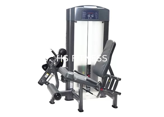 O Gym ostenta o equipamento da força da aptidão da vida/máquina assentada da extensão do pé