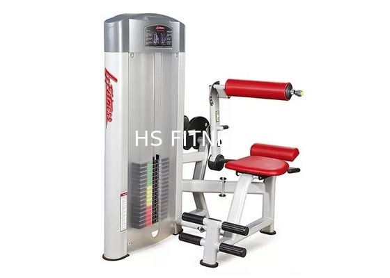 Equipamento da força da aptidão da vida do Gym da categoria comercial para a extensão traseira