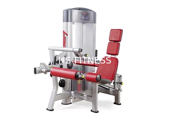 Equipamento comercial assentado do exercício do Gym da máquina da onda de pé da aptidão da vida