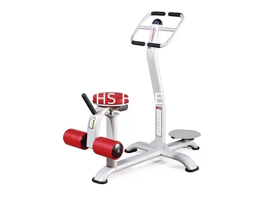 Bens comerciais do equipamento de treino da cintura do Gym da vida dedicada