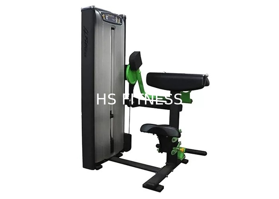 O exercício profissional do equipamento de treino/Gym da força da matriz assentou a máquina da onda do bíceps