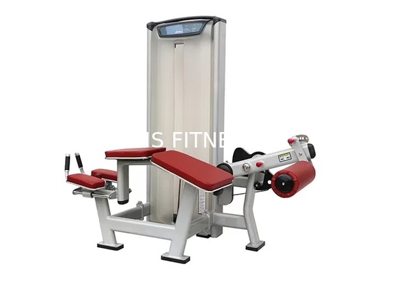 Máquina propensa do exercício da onda de pé do equipamento do exercício da matriz do Gym do OEM