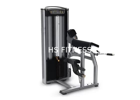 Máquina da onda do bíceps do equipamento de treino da força da matriz do Gym