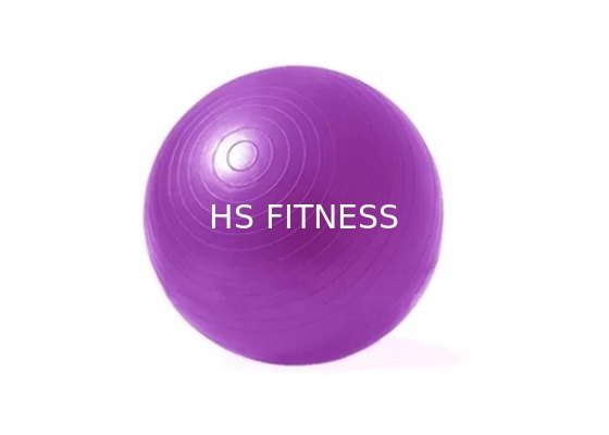 Bola do exercício da ioga dos acessórios do exercício da aptidão do Gym do ODM